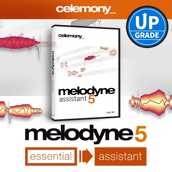 Melodyne 5 assistant (essential UPG) 멜로다인 5 어시스턴트 업그레이드 (from essential all) 전자배송